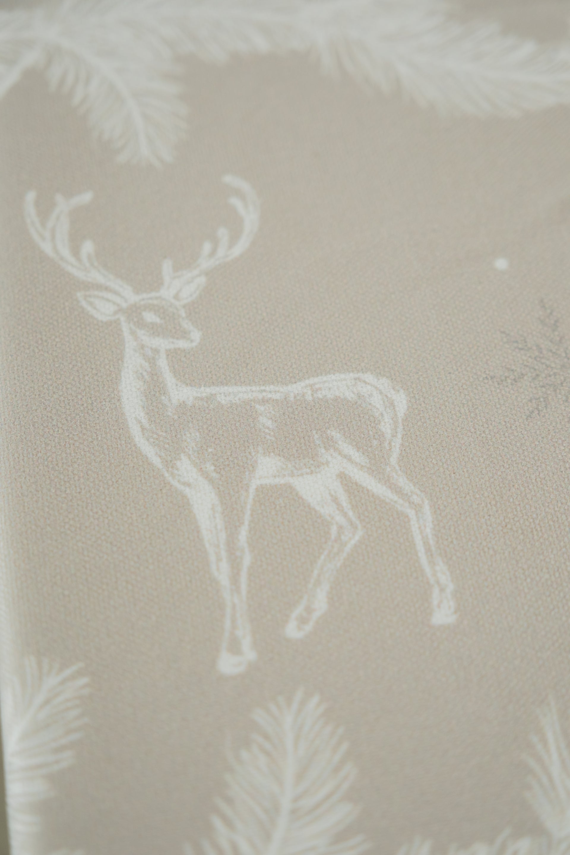 Camino de Mesa Mystical Misty