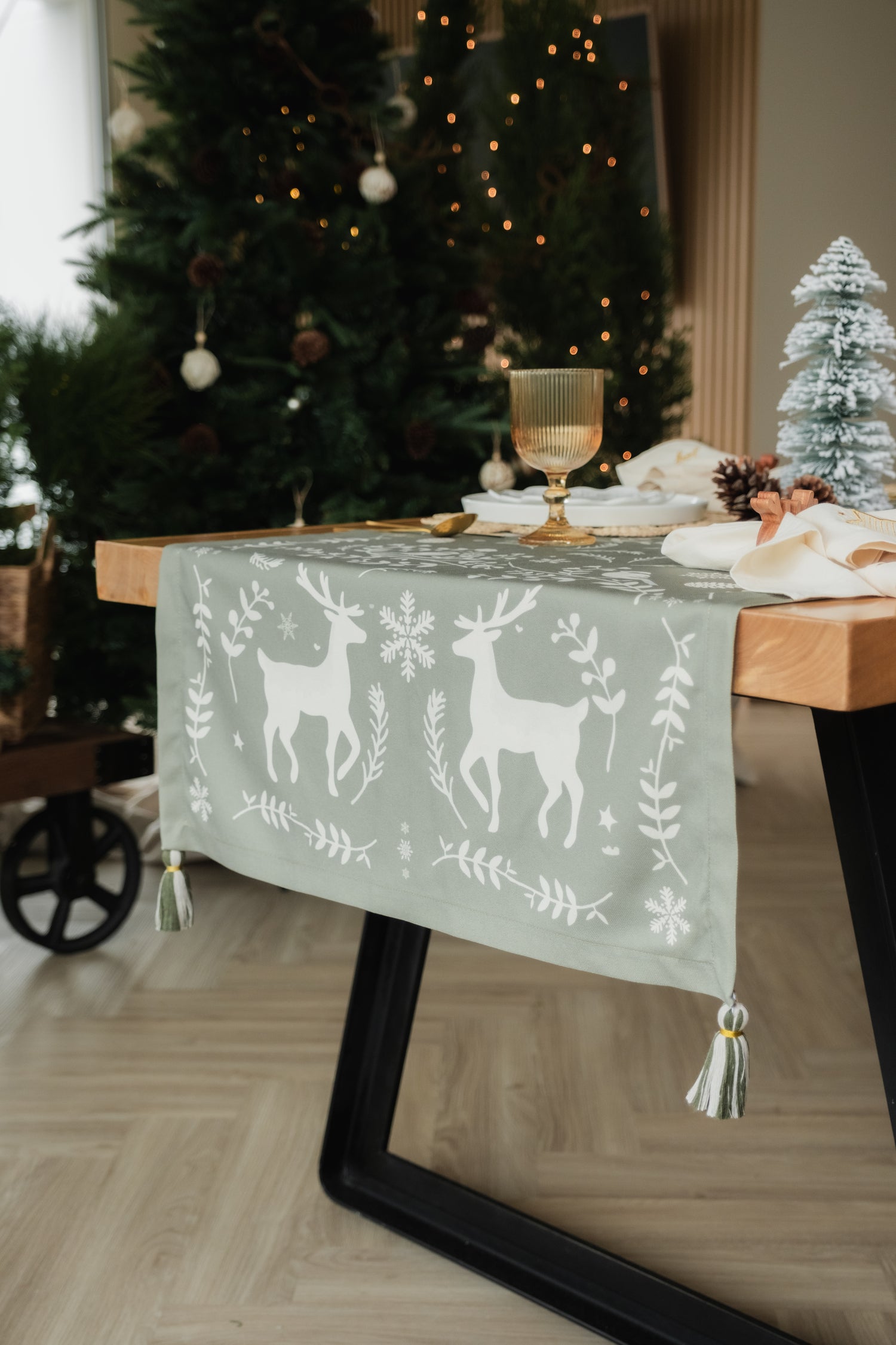 Camino de Mesa Winter Dream